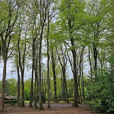 La Maison Du Grand Sapin *