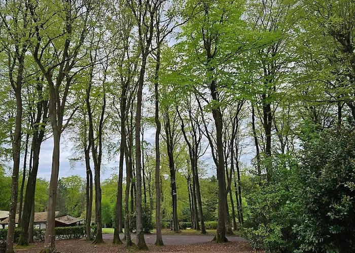 La Maison Du Grand Sapin *